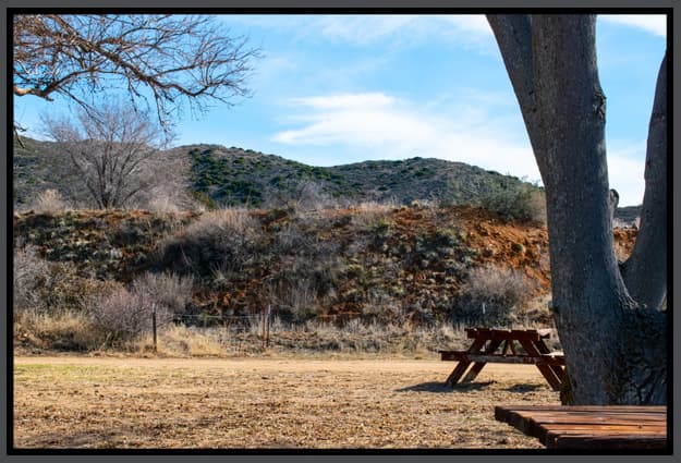 Dry grassy picnic area with wooden tables beneath a large tree and scrub-covered hills