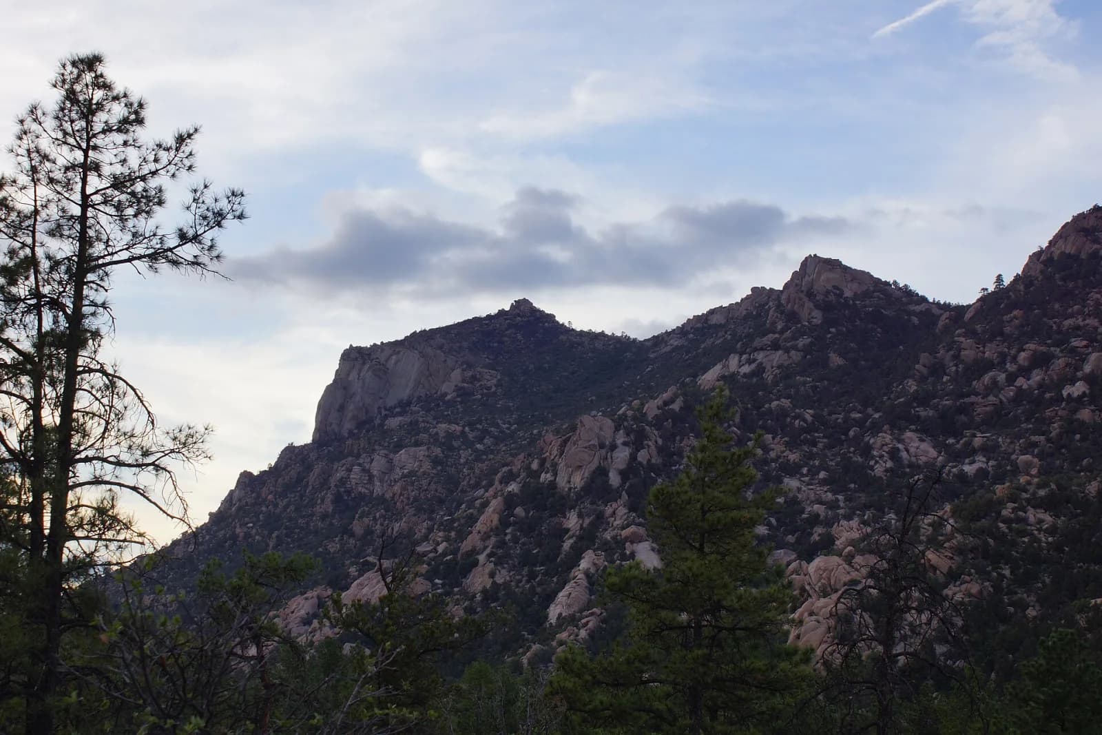 Granite Mountain ridge rising beyond high-desert pines